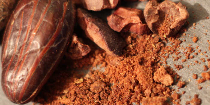 Cacao Nibs von bewusst natur